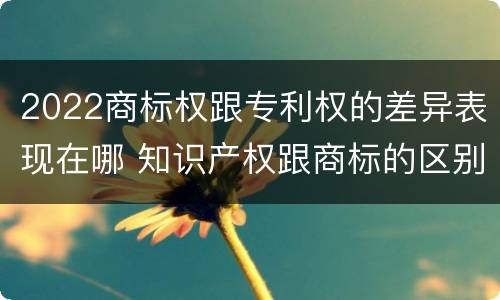 2022商标权跟专利权的差异表现在哪 知识产权跟商标的区别
