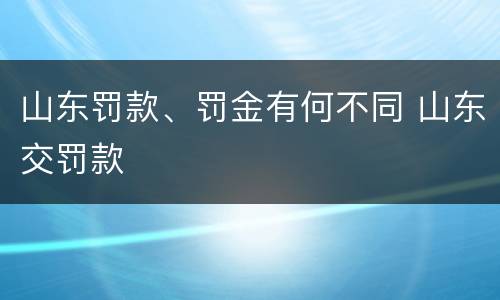 山东罚款、罚金有何不同 山东交罚款