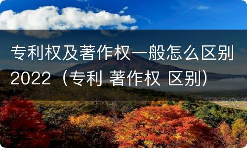 专利权及著作权一般怎么区别2022（专利 著作权 区别）