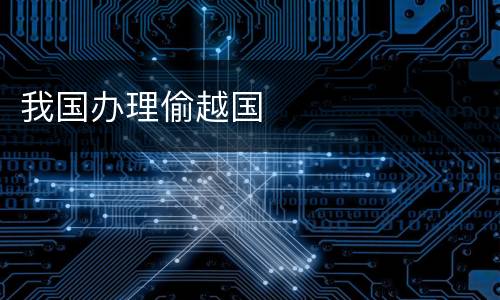 我国办理偷越国