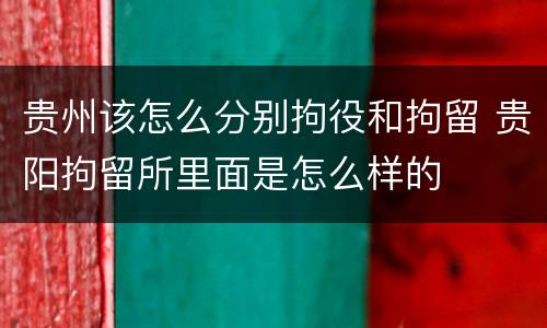 贵州该怎么分别拘役和拘留 贵阳拘留所里面是怎么样的