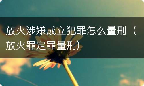 放火涉嫌成立犯罪怎么量刑（放火罪定罪量刑）