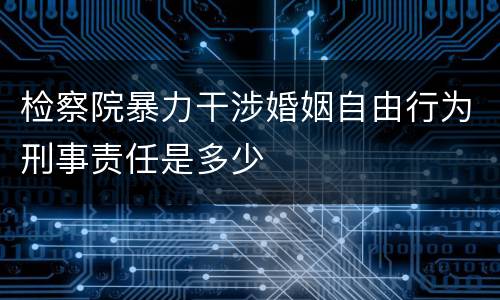 检察院暴力干涉婚姻自由行为刑事责任是多少