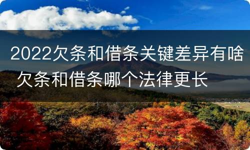 2022欠条和借条关键差异有啥 欠条和借条哪个法律更长