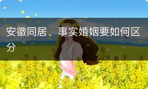 安徽同居、事实婚姻要如何区分