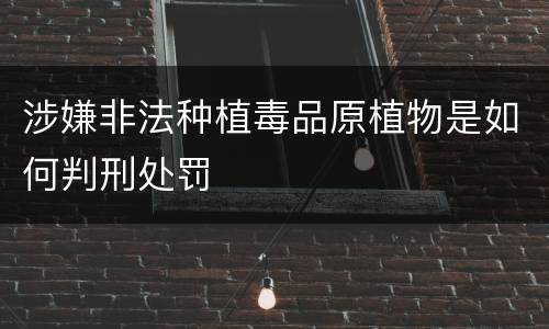 涉嫌非法种植毒品原植物是如何判刑处罚