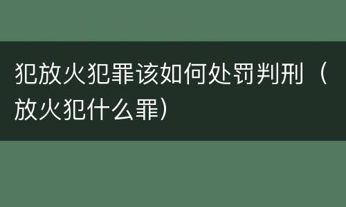 犯放火犯罪该如何处罚判刑（放火犯什么罪）