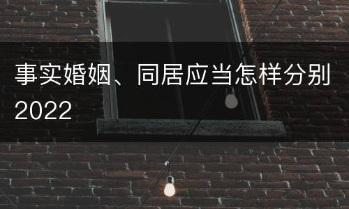 事实婚姻、同居应当怎样分别2022
