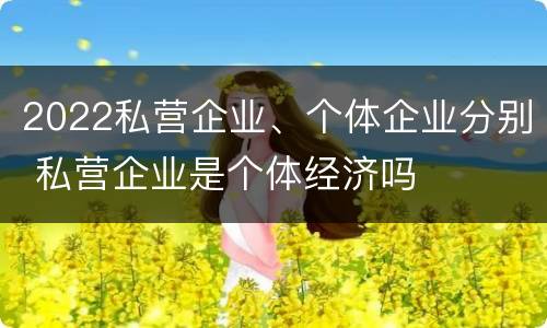 2022私营企业、个体企业分别 私营企业是个体经济吗