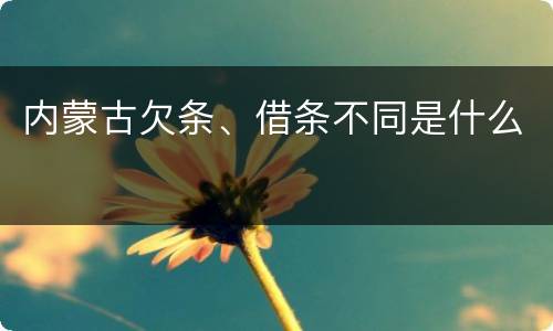 内蒙古欠条、借条不同是什么