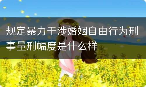 规定暴力干涉婚姻自由行为刑事量刑幅度是什么样