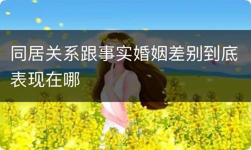 同居关系跟事实婚姻差别到底表现在哪