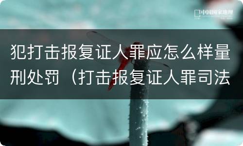 犯打击报复证人罪应怎么样量刑处罚（打击报复证人罪司法解释）