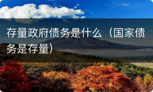 存量政府债务是什么（国家债务是存量）
