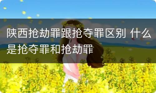 陕西抢劫罪跟抢夺罪区别 什么是抢夺罪和抢劫罪