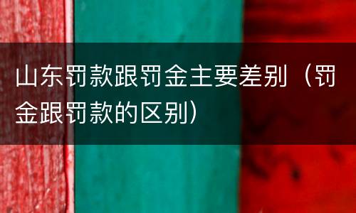 山东罚款跟罚金主要差别（罚金跟罚款的区别）