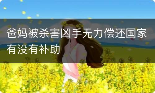 爸妈被杀害凶手无力偿还国家有没有补助