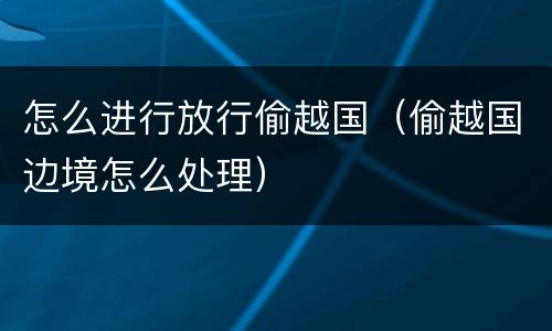 怎么进行放行偷越国（偷越国边境怎么处理）
