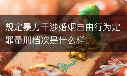 规定暴力干涉婚姻自由行为定罪量刑档次是什么样