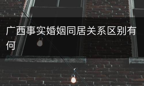 广西事实婚姻同居关系区别有何