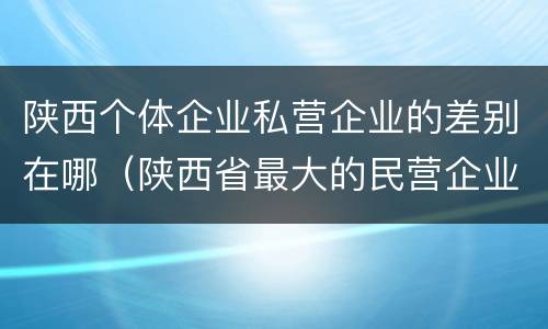 陕西个体企业私营企业的差别在哪（陕西省最大的民营企业是什么公司）