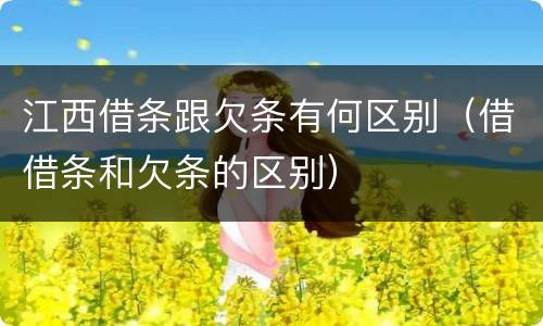 江西借条跟欠条有何区别（借借条和欠条的区别）