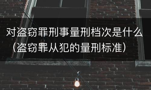 对盗窃罪刑事量刑档次是什么（盗窃罪从犯的量刑标准）