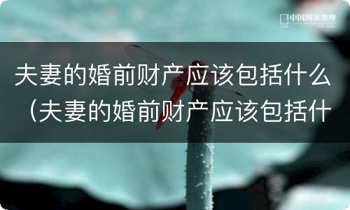 夫妻的婚前财产应该包括什么（夫妻的婚前财产应该包括什么内容）
