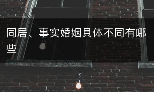 同居、事实婚姻具体不同有哪些