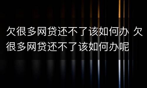 欠很多网贷还不了该如何办 欠很多网贷还不了该如何办呢