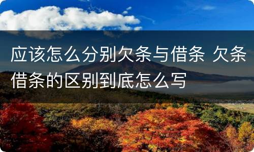 应该怎么分别欠条与借条 欠条借条的区别到底怎么写