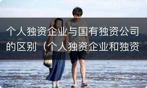 个人独资企业与国有独资公司的区别（个人独资企业和独资公司的区别）