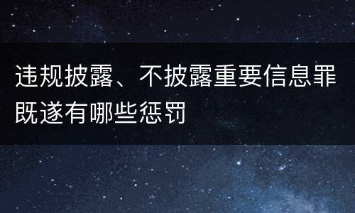 违规披露、不披露重要信息罪既遂有哪些惩罚