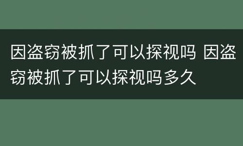 因盗窃被抓了可以探视吗 因盗窃被抓了可以探视吗多久