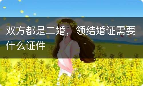 双方都是二婚，领结婚证需要什么证件