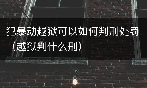 犯暴动越狱可以如何判刑处罚（越狱判什么刑）