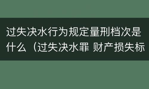 过失决水行为规定量刑档次是什么（过失决水罪 财产损失标准）