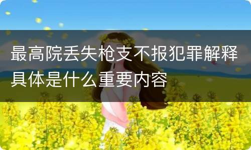 最高院丢失枪支不报犯罪解释具体是什么重要内容
