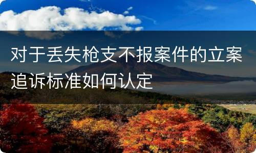 对于丢失枪支不报案件的立案追诉标准如何认定