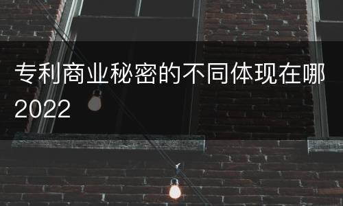 专利商业秘密的不同体现在哪2022