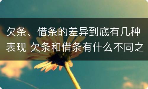 欠条、借条的差异到底有几种表现 欠条和借条有什么不同之处
