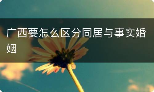 广西要怎么区分同居与事实婚姻