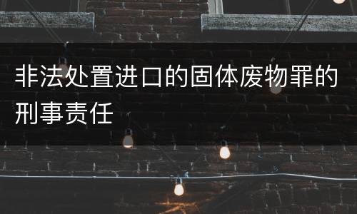 非法处置进口的固体废物罪的刑事责任