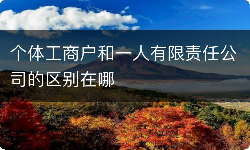 个体工商户和一人有限责任公司的区别在哪