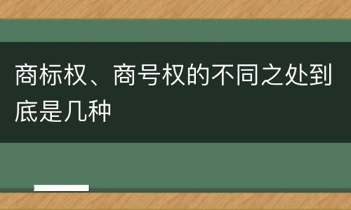 商标权、商号权的不同之处到底是几种