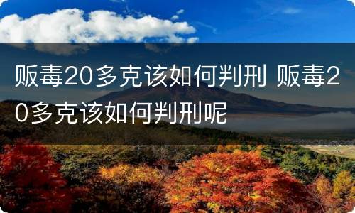 贩毒20多克该如何判刑 贩毒20多克该如何判刑呢