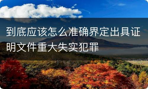 到底应该怎么准确界定出具证明文件重大失实犯罪
