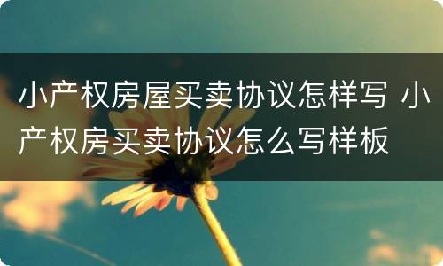 小产权房屋买卖协议怎样写 小产权房买卖协议怎么写样板