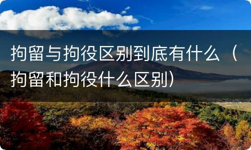 拘留与拘役区别到底有什么（拘留和拘役什么区别）