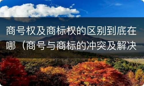 商号权及商标权的区别到底在哪（商号与商标的冲突及解决措施）